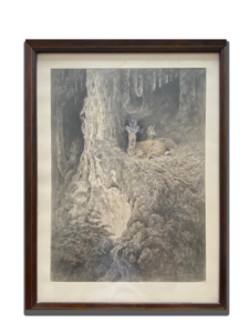 Tableau encadré animalier : chevreuil couché dans un sous-bois, près d’un grand tronc d’arbre, ambiance sombre